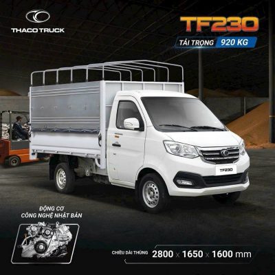 Giá xe tải THACO 800kg nhiều ưu đãi tại THACO VĨNH PHÚC(LH: 0976 189 444)